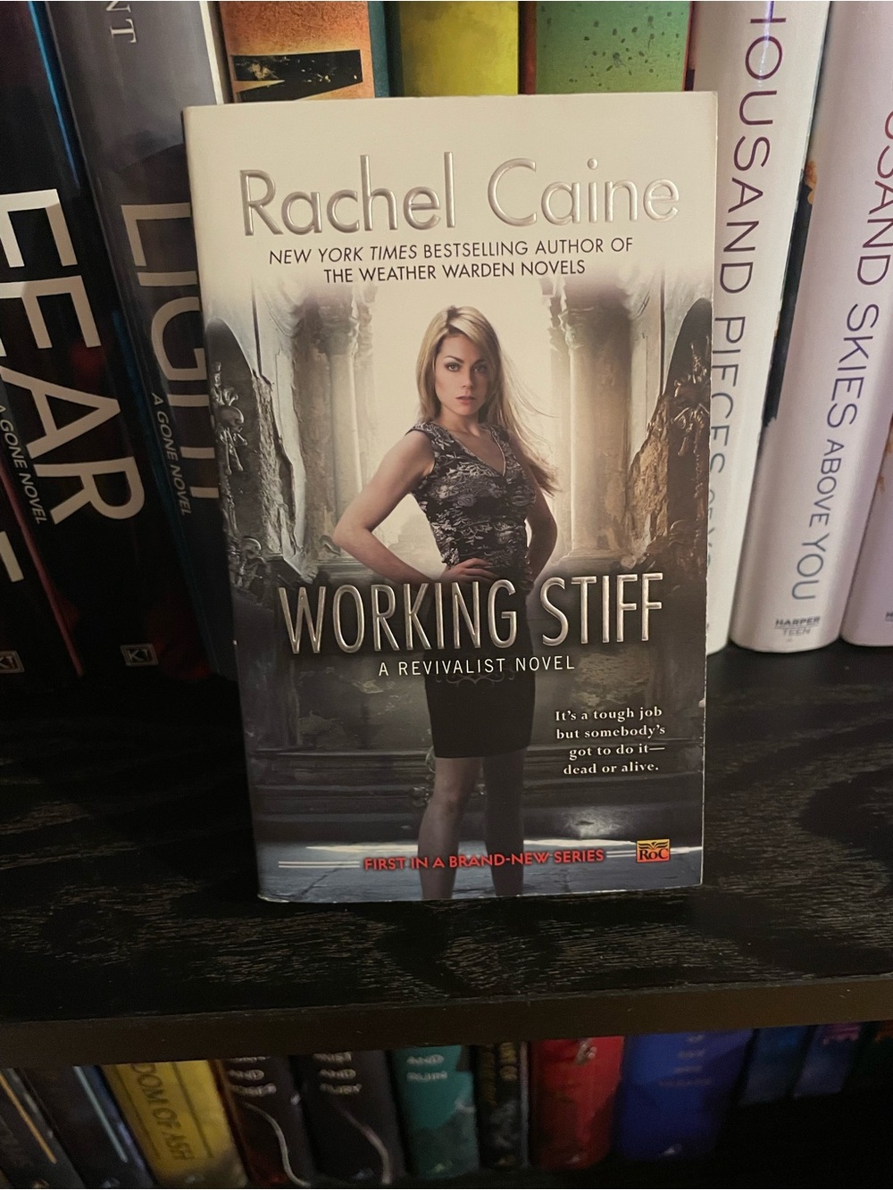 3/$20 | Working Stiff by Rachel Caine